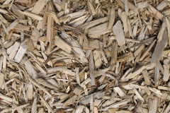 biomass boilers Wern Olau
